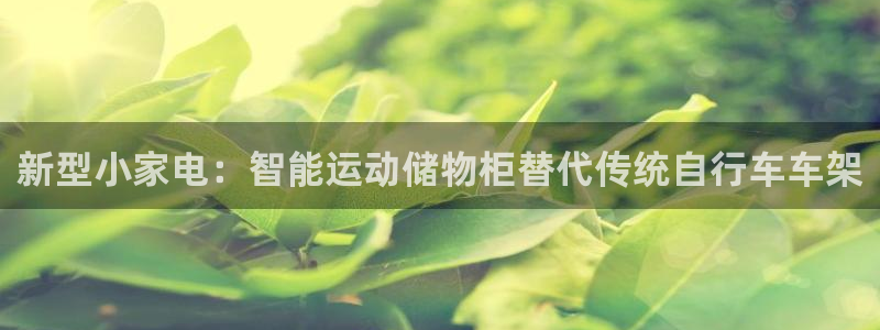 熊猫体育官网下载软件：新型小家电：智能运动储物柜替代