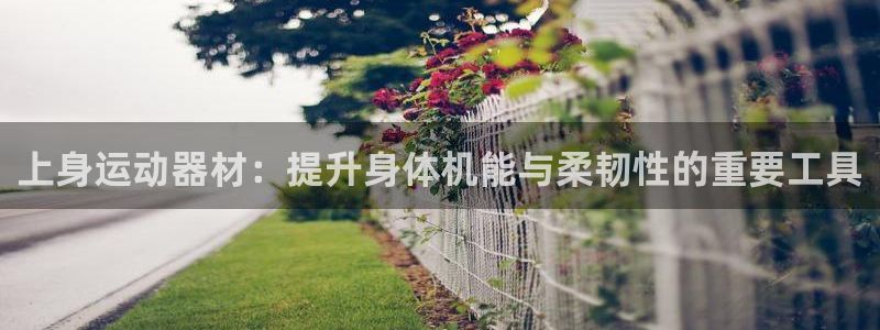 熊猫体育官网下载平台注册要钱吗：上身运动器材：提升身